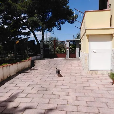 Appartamento Casa Vacanze Orso Bianco *